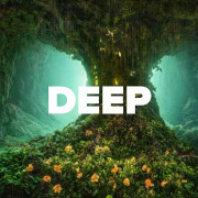 Логотип Deep