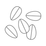 Логотип Гоп FM