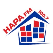 Логотип Нара FM