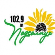 Логотип Радио Подсолнух