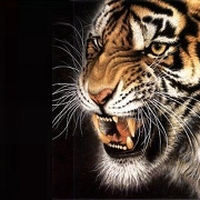 Логотип Радио FARSAJ