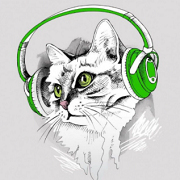 Логотип Радио Кот рекомендует