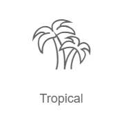 Логотип Tropical