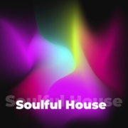 Логотип Soulful House - 101.ru